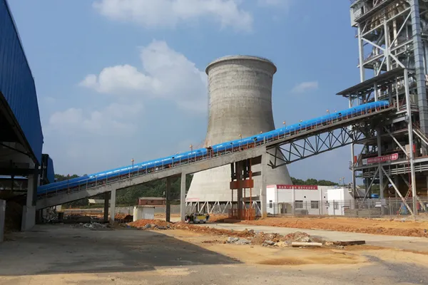Kaidi Biomass Power Plant Project